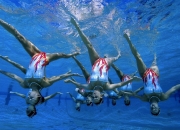 德约科维奇意外战胜塞尔维亚队，爆冷引爆全场！热度持续攀升